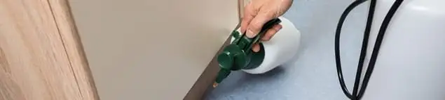Bed bug exterminator treating baseboards and cracks with targeted spray in Toledo, OH