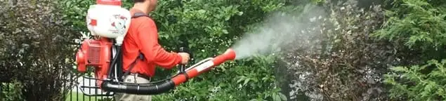 Mosquito control technician fogging shrubs and landscaping for mosquito treatment in Toledo, OH