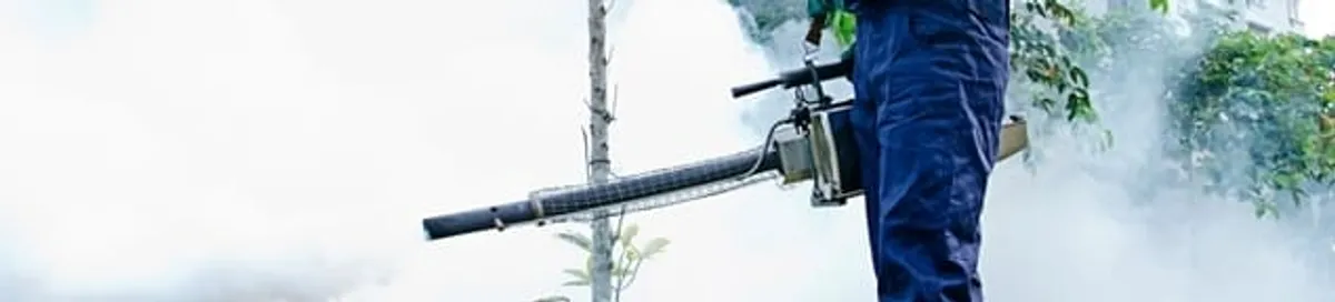 Pest control technician fogging an outdoor area for insect control in Toledo, OH