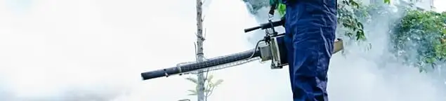 Pest control technician fogging an outdoor area for insect control in Toledo, OH