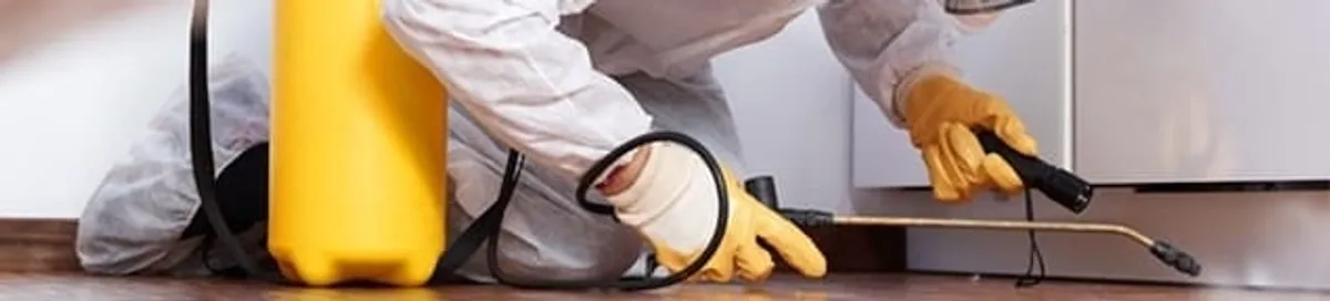 Roach exterminator treating cracks and crevices along kitchen baseboards in Toledo, OH