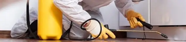 Roach exterminator treating cracks and crevices along kitchen baseboards in Toledo, OH