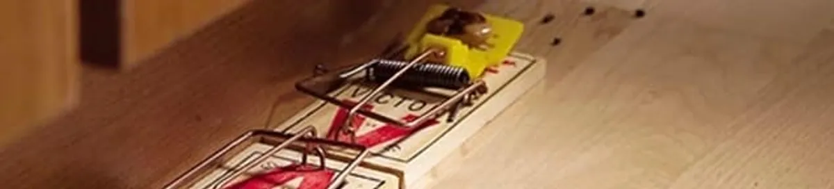 Rodent trap set indoors for rodent control and prevention in Toledo, OH